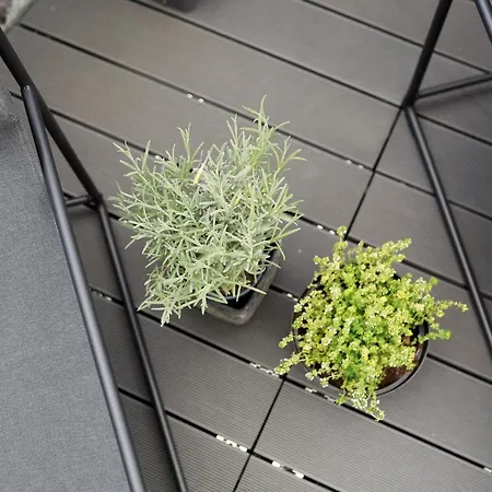 Mosellolodge, Juwel Mit Großer Dachterrasse, Ausstattung, Waschmaschine, Netflix *