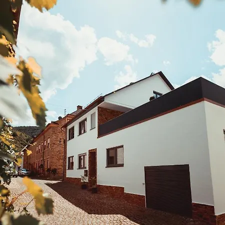 Mosellolodge, Juwel Mit Großer Dachterrasse, Ausstattung, Waschmaschine, Netflix Ferienhaus