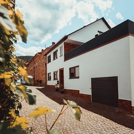 Mosellolodge, Juwel Mit Großer Dachterrasse, Ausstattung, Waschmaschine, Netflix *